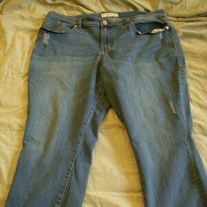 Rock and Republic Plus Size Jeans